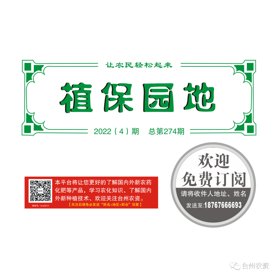 氣溫驟降，大棚西瓜做好以下幾點(diǎn)工作