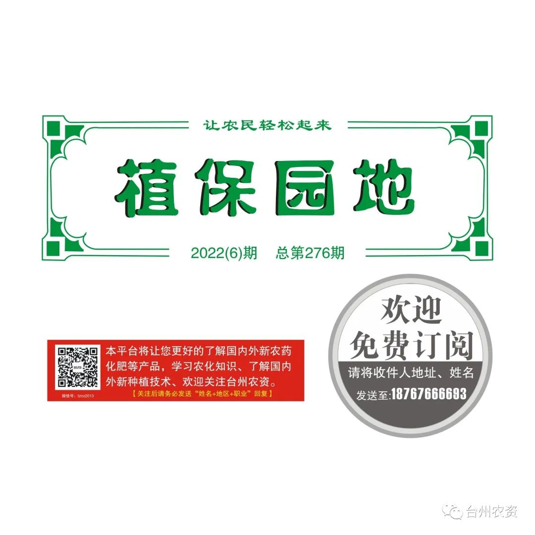 雜交水稻制種增施必奧硅、持力硼成熟期表現(xiàn)情況