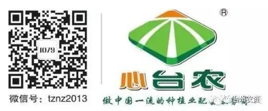 果實接近成熟，警惕柑橘表面各種油胞病